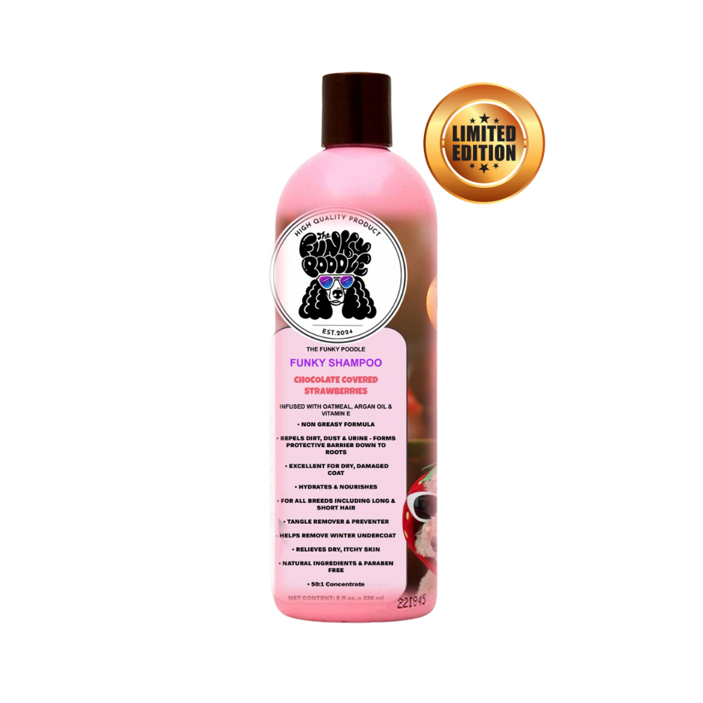 Chocolate Covered Strawberries Shampoo 16oz - Main Image