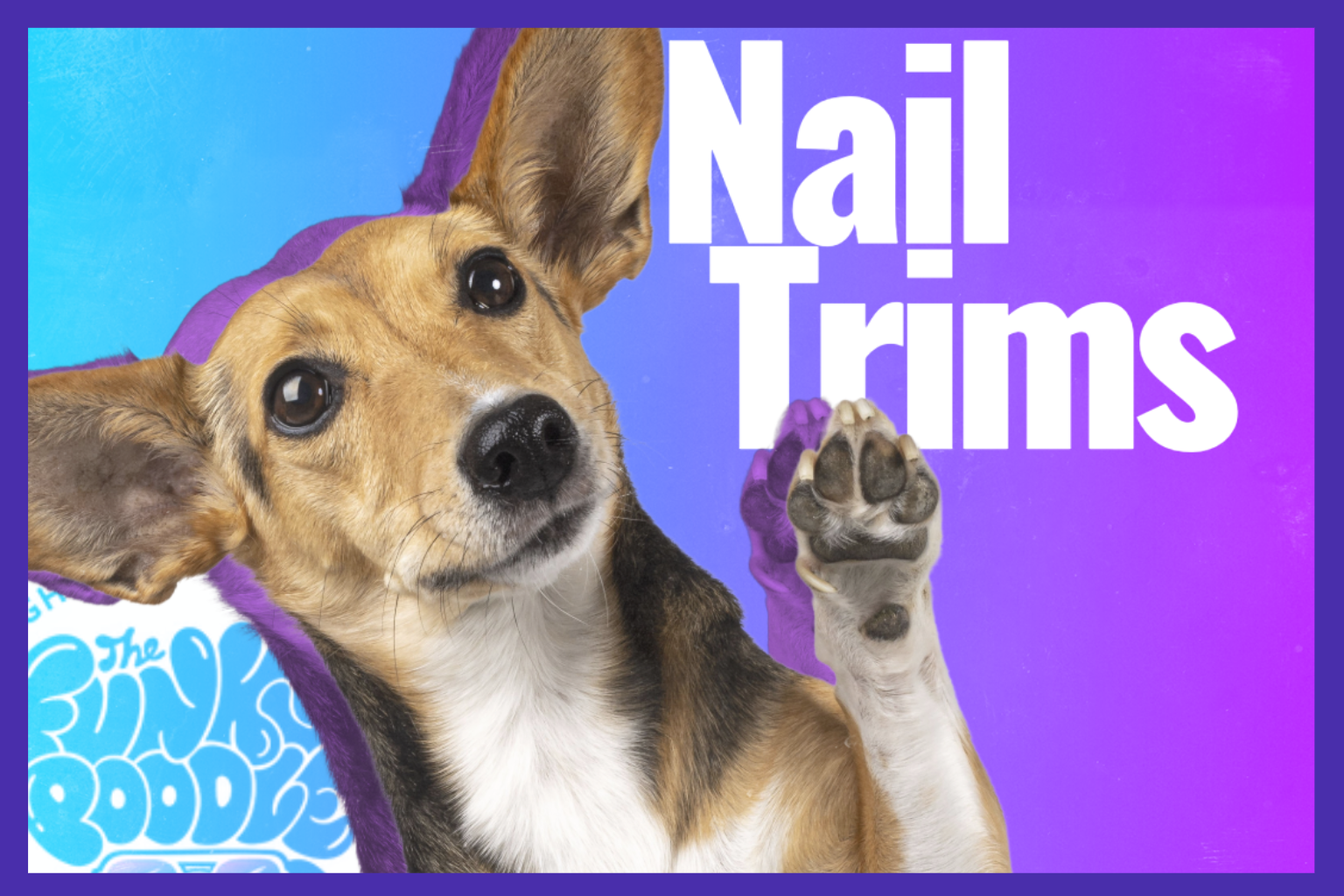 The Importance of Regular Nail Trims (and What Happens When You Skip Them)