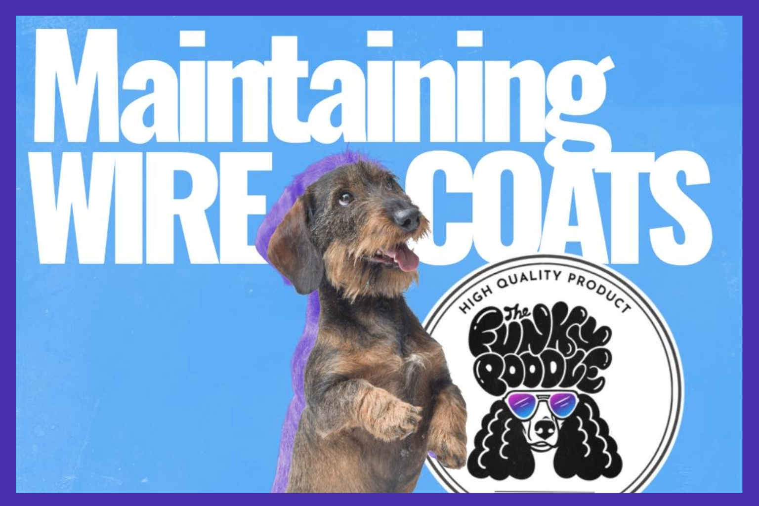 Maintaining a Healthy Wire Coat