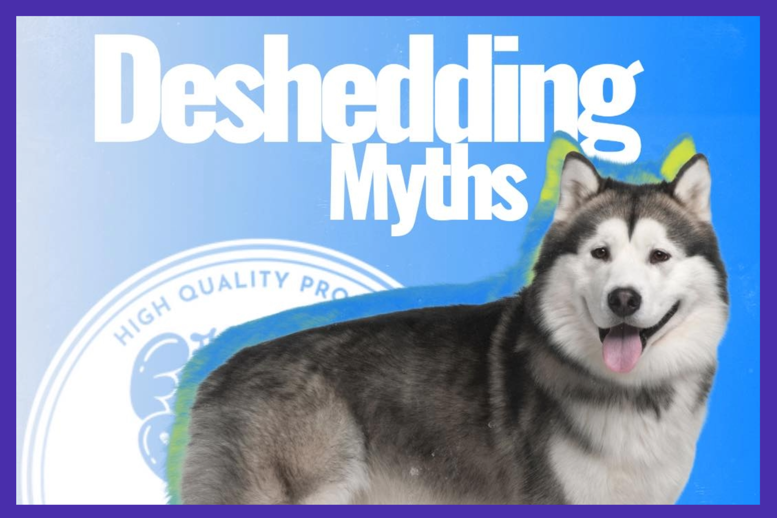 Deshedding Myths: Why the Furminator Isn’t for Everyone