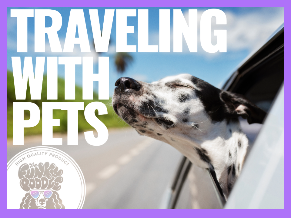Dog-Friendly Travel &amp; Adventures: What to Pack, How to Groom on the Go, and Vacation Safety Tips