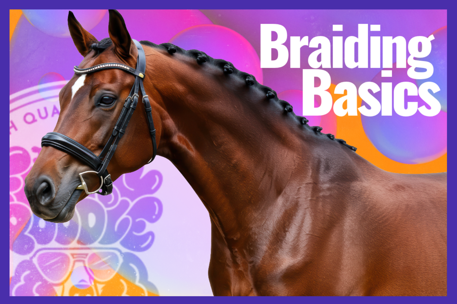 Braiding Basics: Different Mane & Tail Braiding Styles for Horses