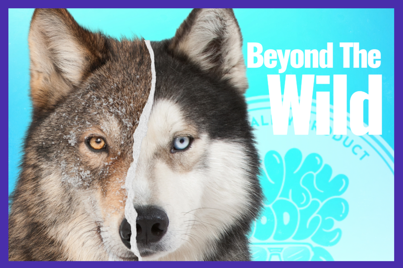 Why Domesticated Animals Need Grooming (When Wild Animals Don’t)