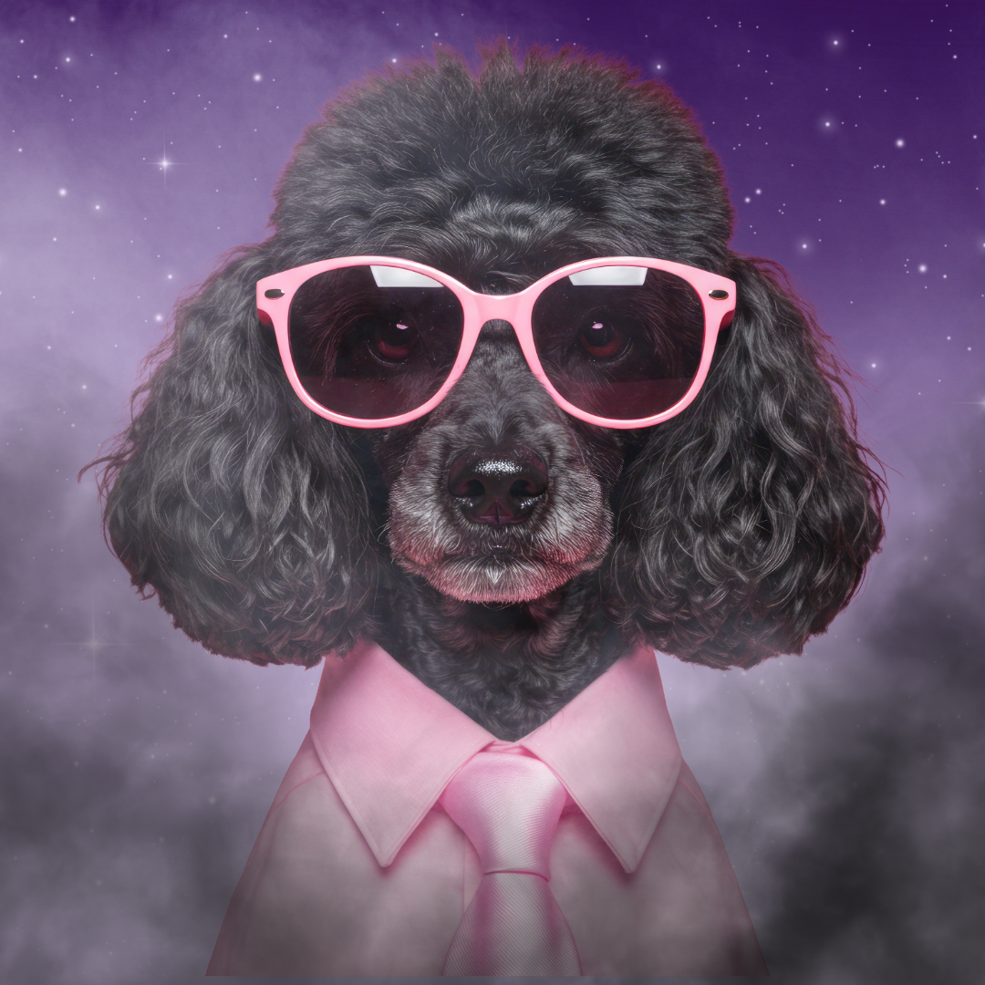 The Funky Poodle