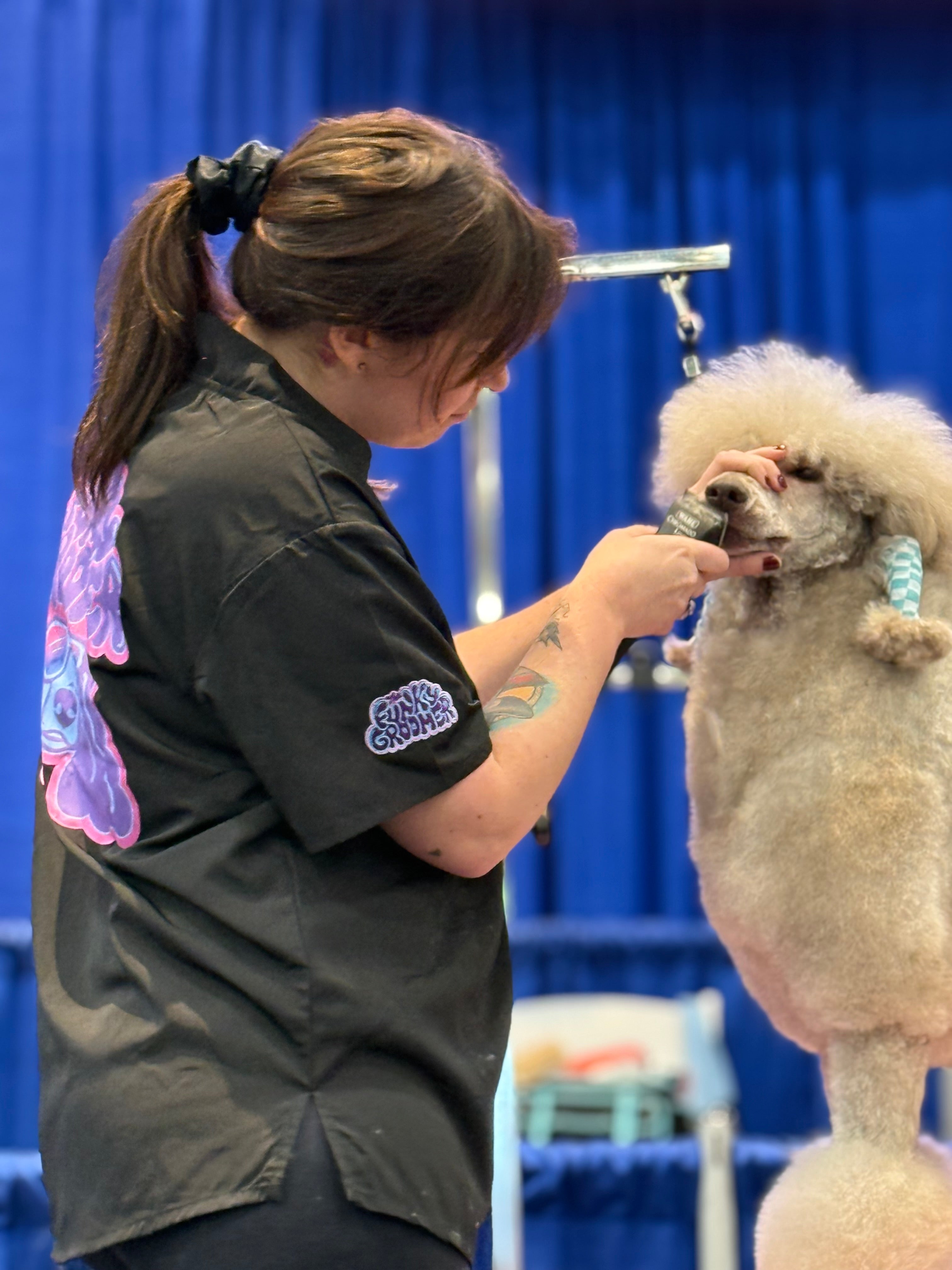 The Funky Poodle