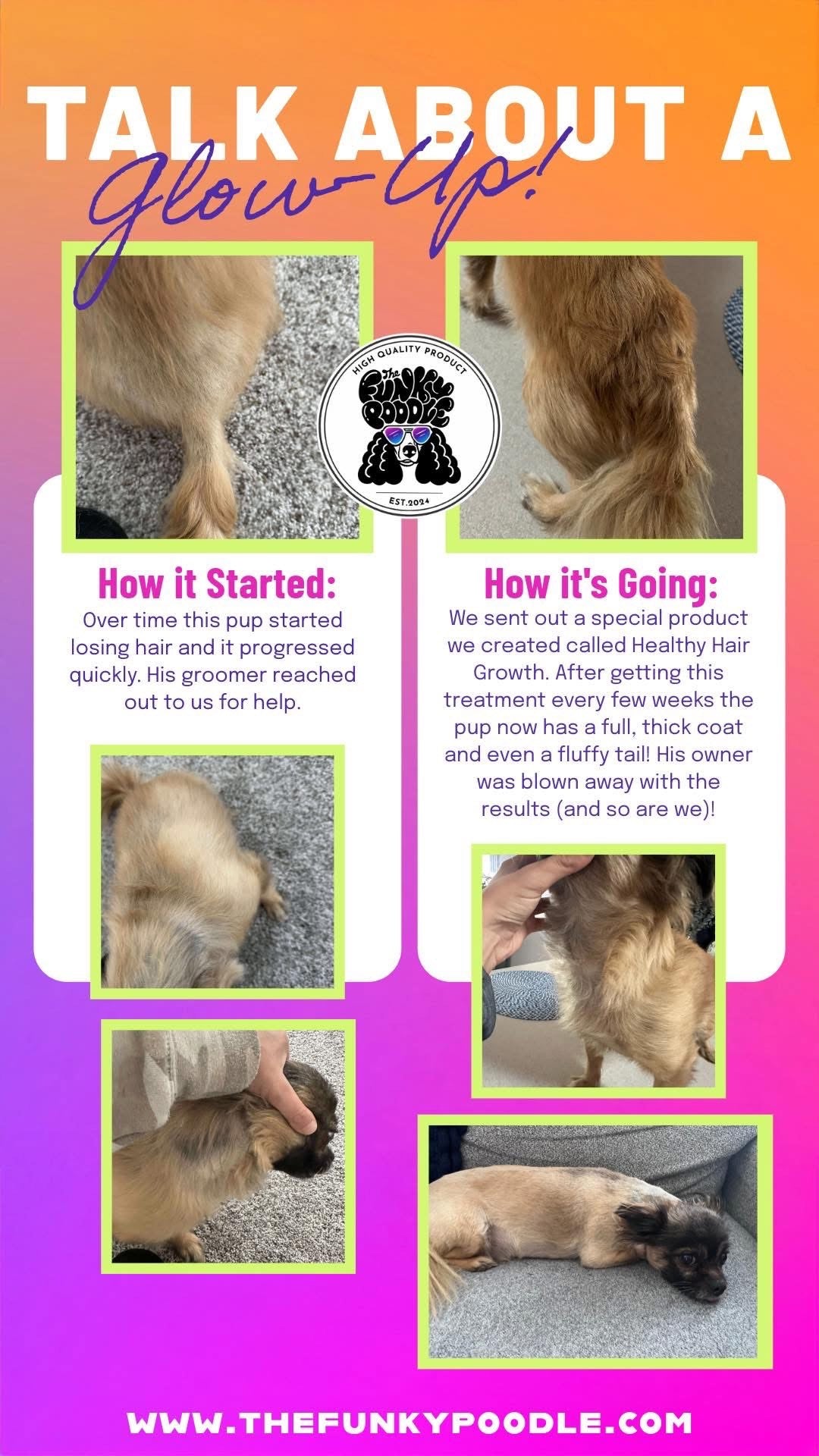 The Funky Pet Parent - Healthy Hair Growth