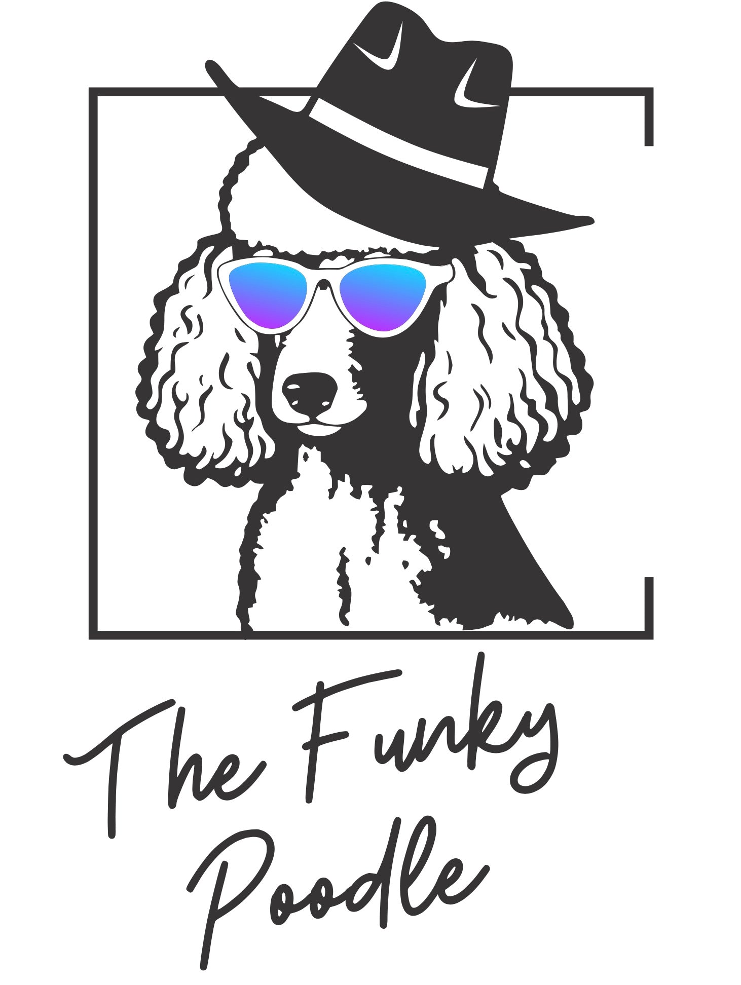 CLEARANCE - Funky Rodeo T-Shirts